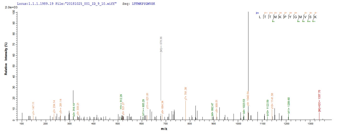 Based on the SEQUEST from database of E.coli host and target protein, the LC-MS/MS Analysis result of CSB-EP761526HDAM could indicate that this peptide derived from E.coli-expressed Human metapneumovirus (strain CAN97-83) (HMPV) M.
