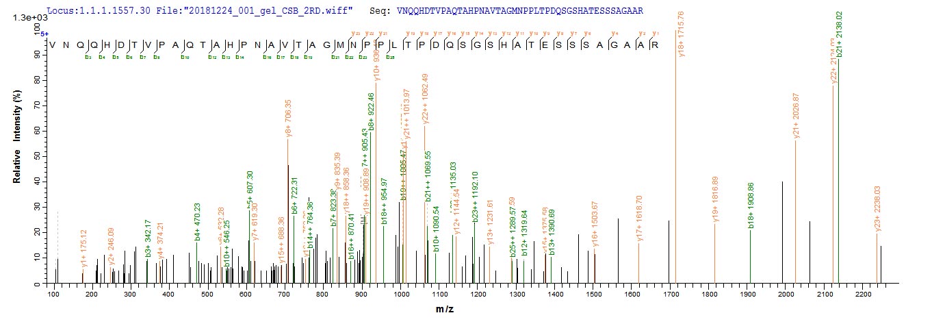 Based on the SEQUEST from database of E.coli host and target protein, the LC-MS/MS Analysis result of CSB-EP803414FGP(A4) could indicate that this peptide derived from E.coli-expressed Pseudomonas syringae pv. tomato (strain ATCC BAA-871 / DC3000) hopM1.