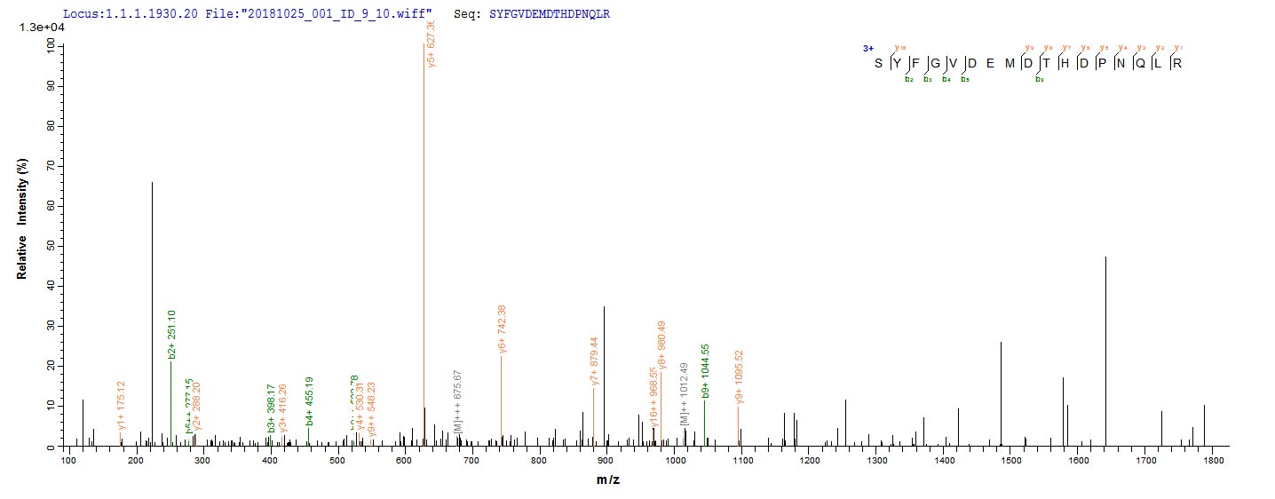 Based on the SEQUEST from database of E.coli host and target protein, the LC-MS/MS Analysis result of CSB-EP806800VBF could indicate that this peptide derived from E.coli-expressed Vesicular stomatitis Indiana virus (strain 98COE North America) (VSIV) M.