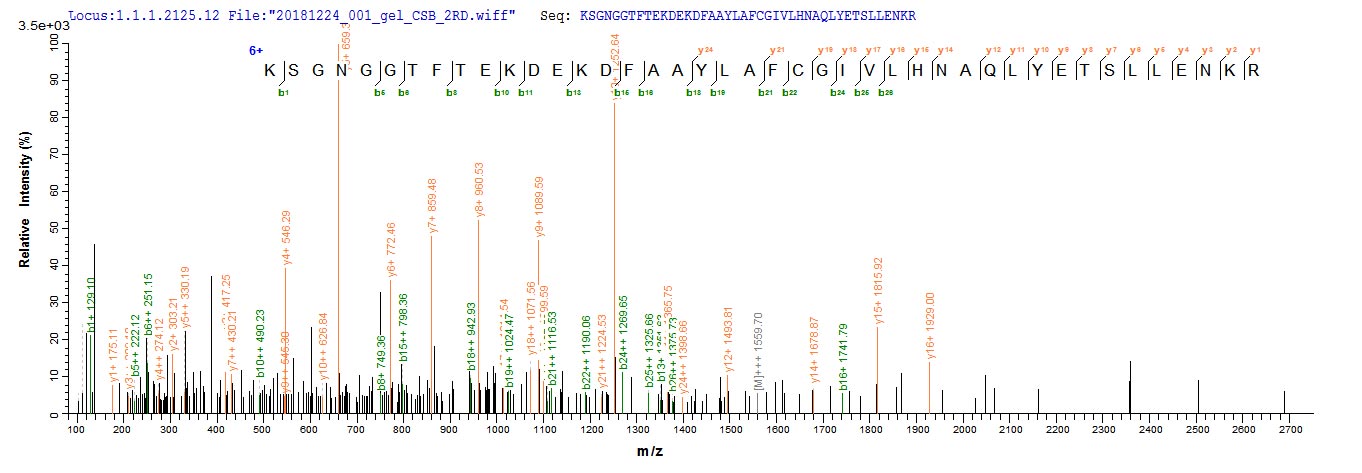 Based on the SEQUEST from database of E.coli host and target protein, the LC-MS/MS Analysis result of CSB-EP807017MO could indicate that this peptide derived from E.coli-expressed Mus musculus (Mouse) Pde5a. Based on the SEQUEST from database of E.coli host and target protein, the LC-MS/MS Analysis result of CSB-EP807017MO could indicate that this peptide derived from E.coli-expressed Mus musculus (Mouse) Pde5a.