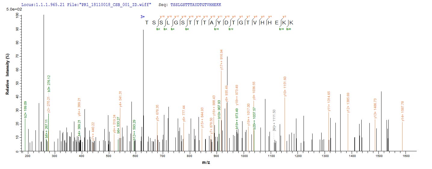 Based on the SEQUEST from database of Yeast host and target protein, the LC-MS/MS Analysis result of CSB-YP338701DOA could indicate that this peptide derived from Yeast-expressed Arabidopsis thaliana (Mouse-ear cress) XERO1.