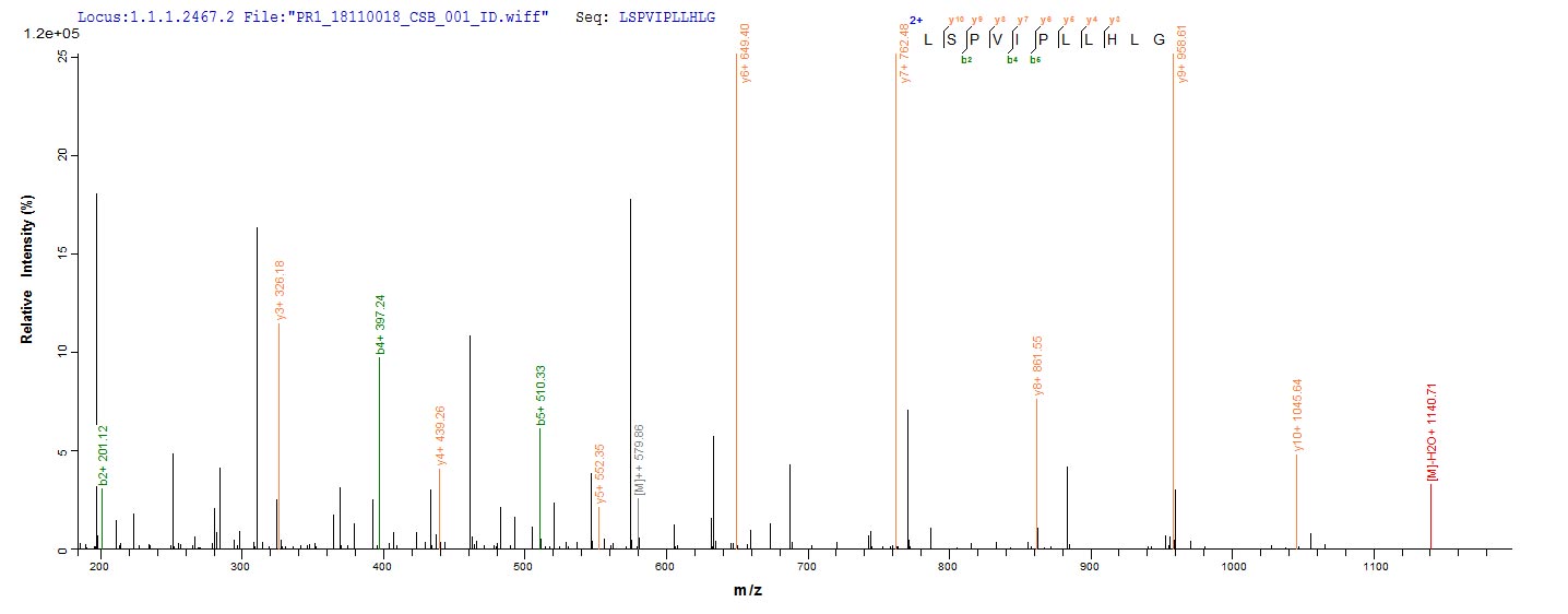 Based on the SEQUEST from database of Yeast host and target protein, the LC-MS/MS Analysis result of CSB-YP345751BOa4 could indicate that this peptide derived from Yeast-expressed Bos taurus (Bovine) CATHL6. Based on the SEQUEST from database of Yeast host and target protein, the LC-MS/MS Analysis result of CSB-YP345751BOa4 could indicate that this peptide derived from Yeast-expressed Bos taurus (Bovine) CATHL6.