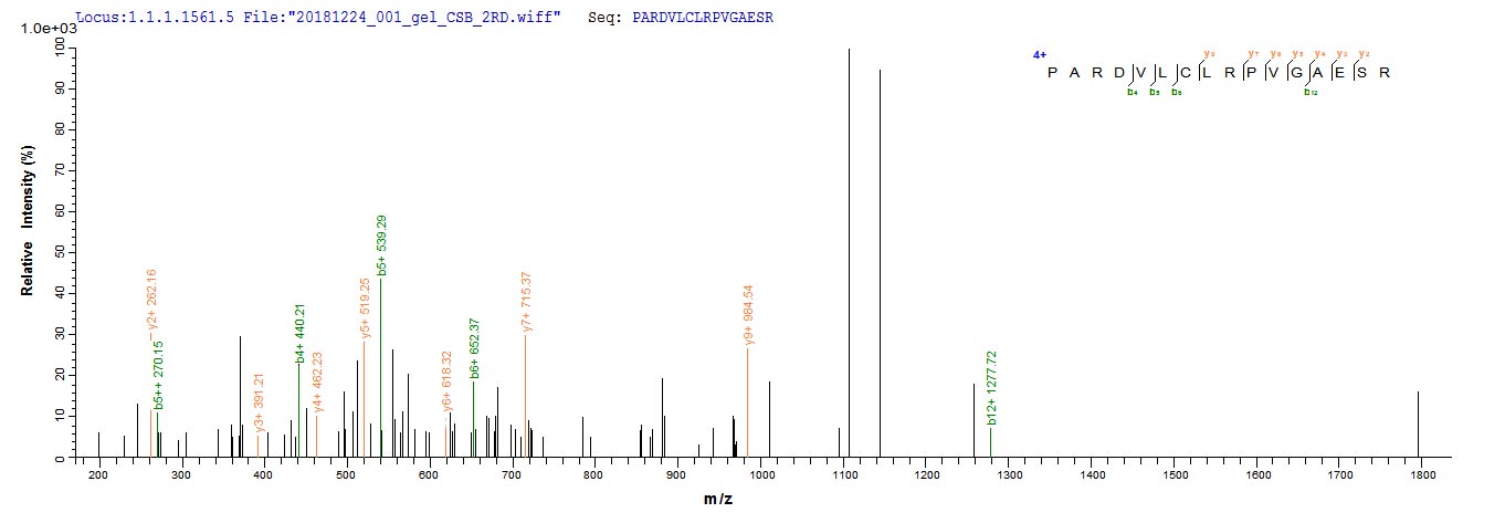 Based on the SEQUEST from database of Yeast host and target protein, the LC-MS/MS Analysis result of CSB-YP865559HEO could indicate that this peptide derived from Yeast-expressed Hepatitis B virus genotype D subtype ayw (isolate Japan/JYW796/1988) (HBV-D) X. Based on the SEQUEST from database of Yeast host and target protein, the LC-MS/MS Analysis result of CSB-YP865559HEO could indicate that this peptide derived from Yeast-expressed Hepatitis B virus genotype D subtype ayw (isolate Japan/JYW796/1988) (HBV-D) X.
