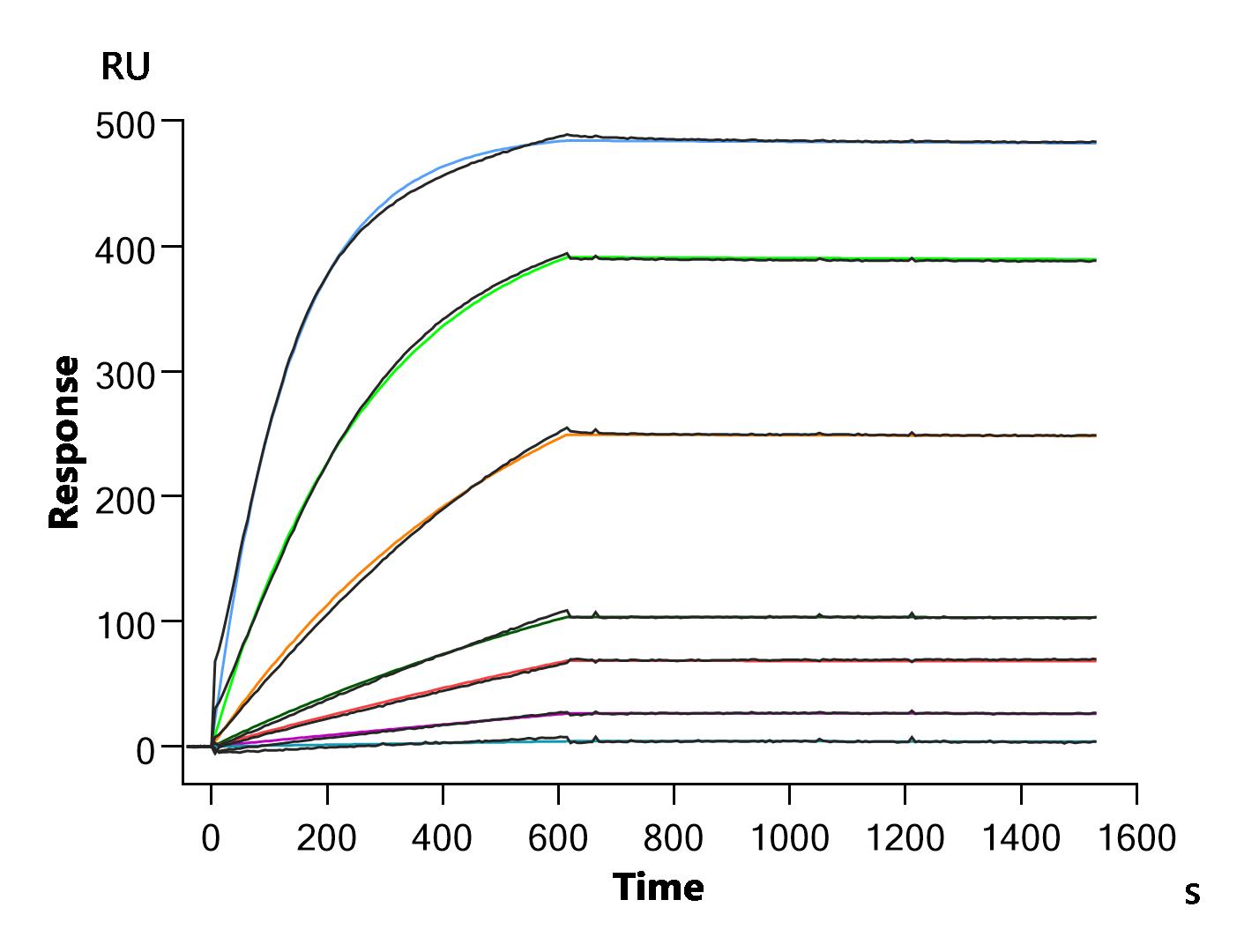 CSB-MP005508HU(A4)