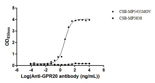 Recombinant Macaca fascicularis G protein-coupled receptor 20 (GPR20) -VLPs (Active) - image 2